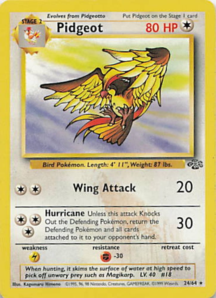 Pidgeot (24)
