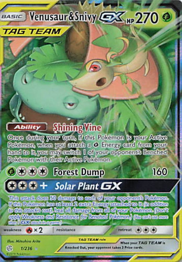Venusaur & Snivy GX