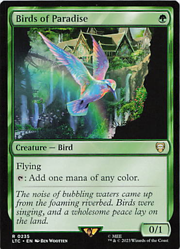 Birds of Paradise