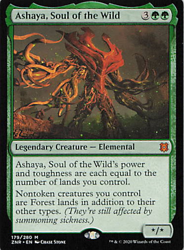 Ashaya, Soul of the Wild