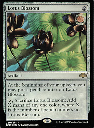 Lotus Blossom