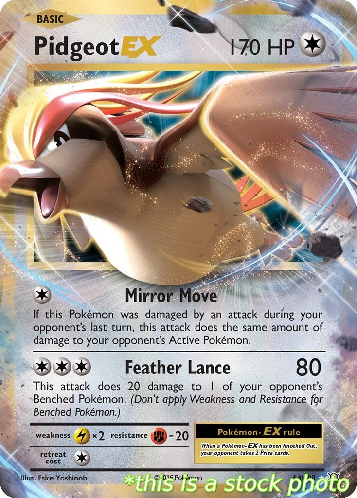 Pidgeot EX