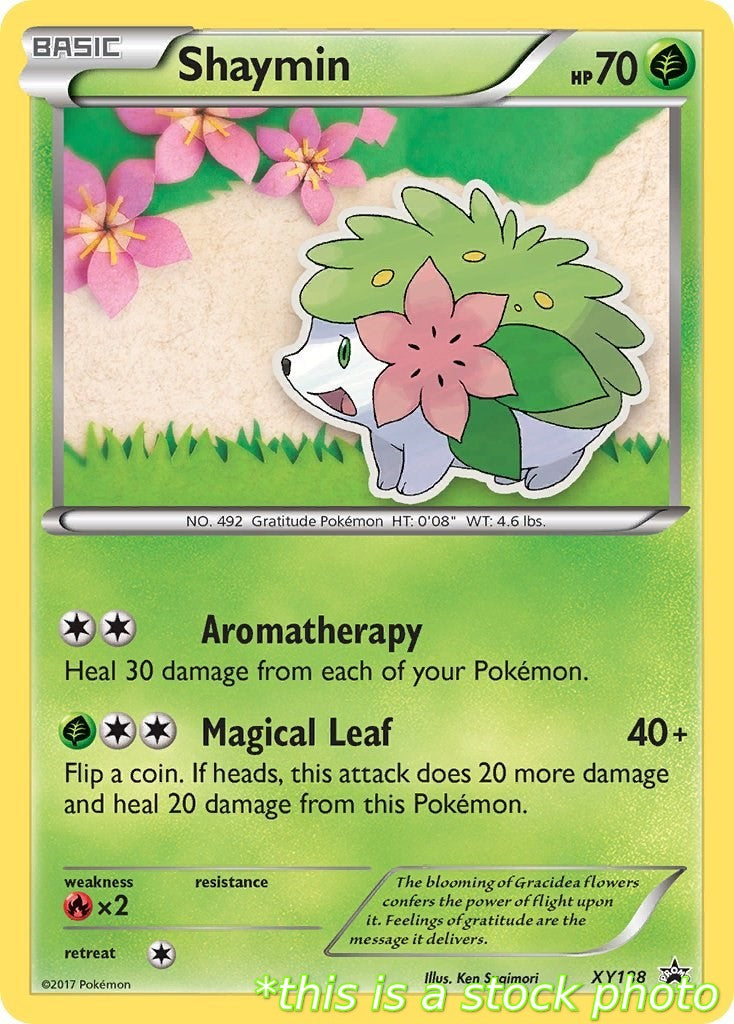 Shaymin - XY188