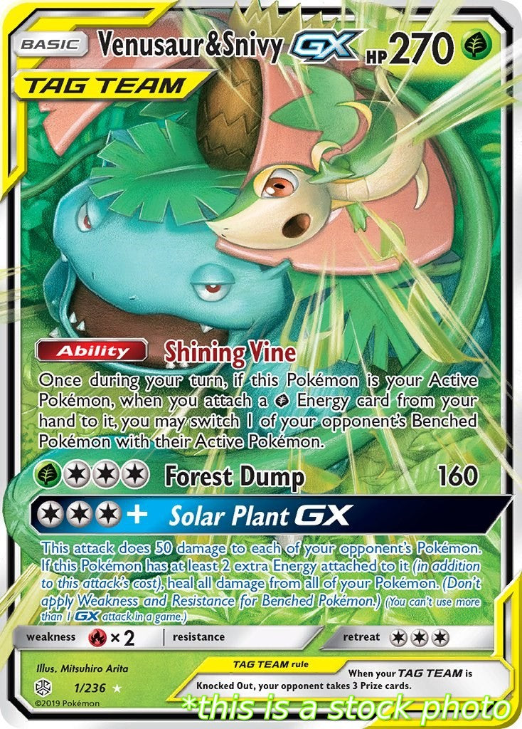 Venusaur & Snivy GX