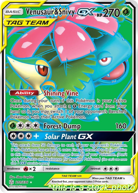Venusaur & Snivy GX (Full Art)