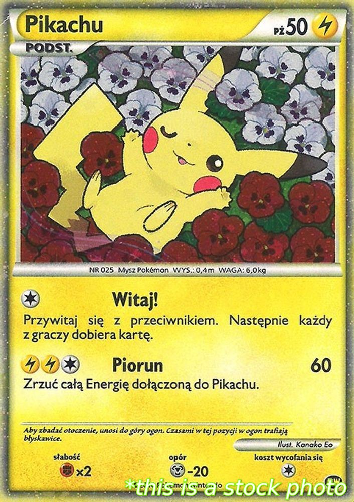 Pikachu (Polish)