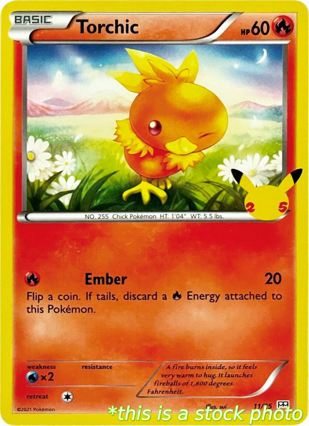 Torchic - 11/25