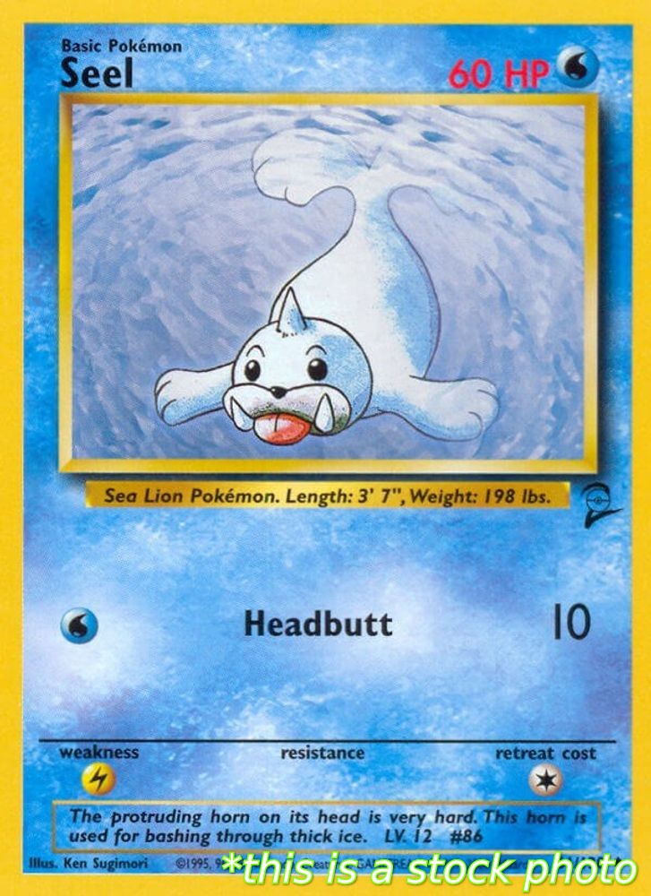Seel