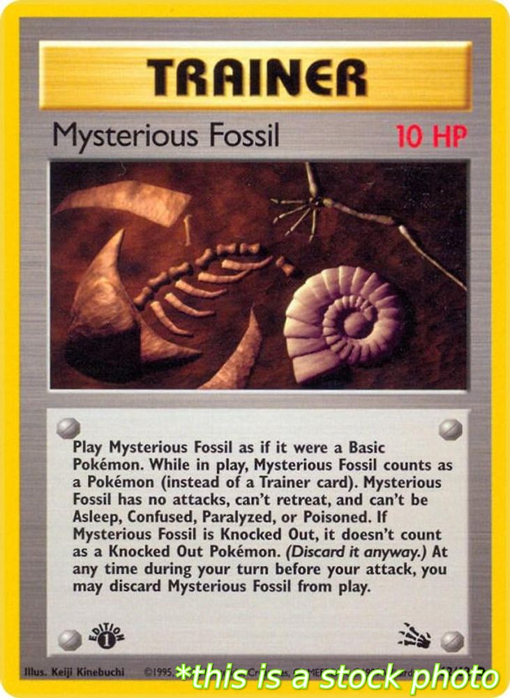Mysterious Fossil