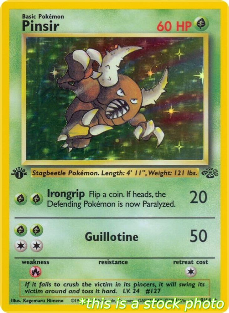 Pinsir (9)