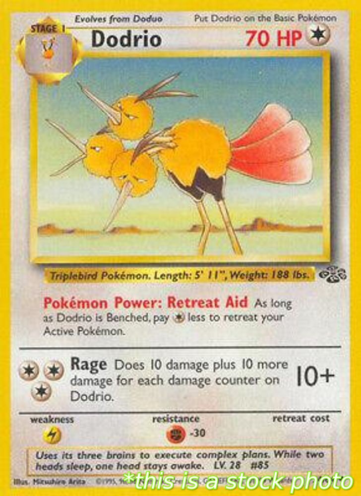 Dodrio