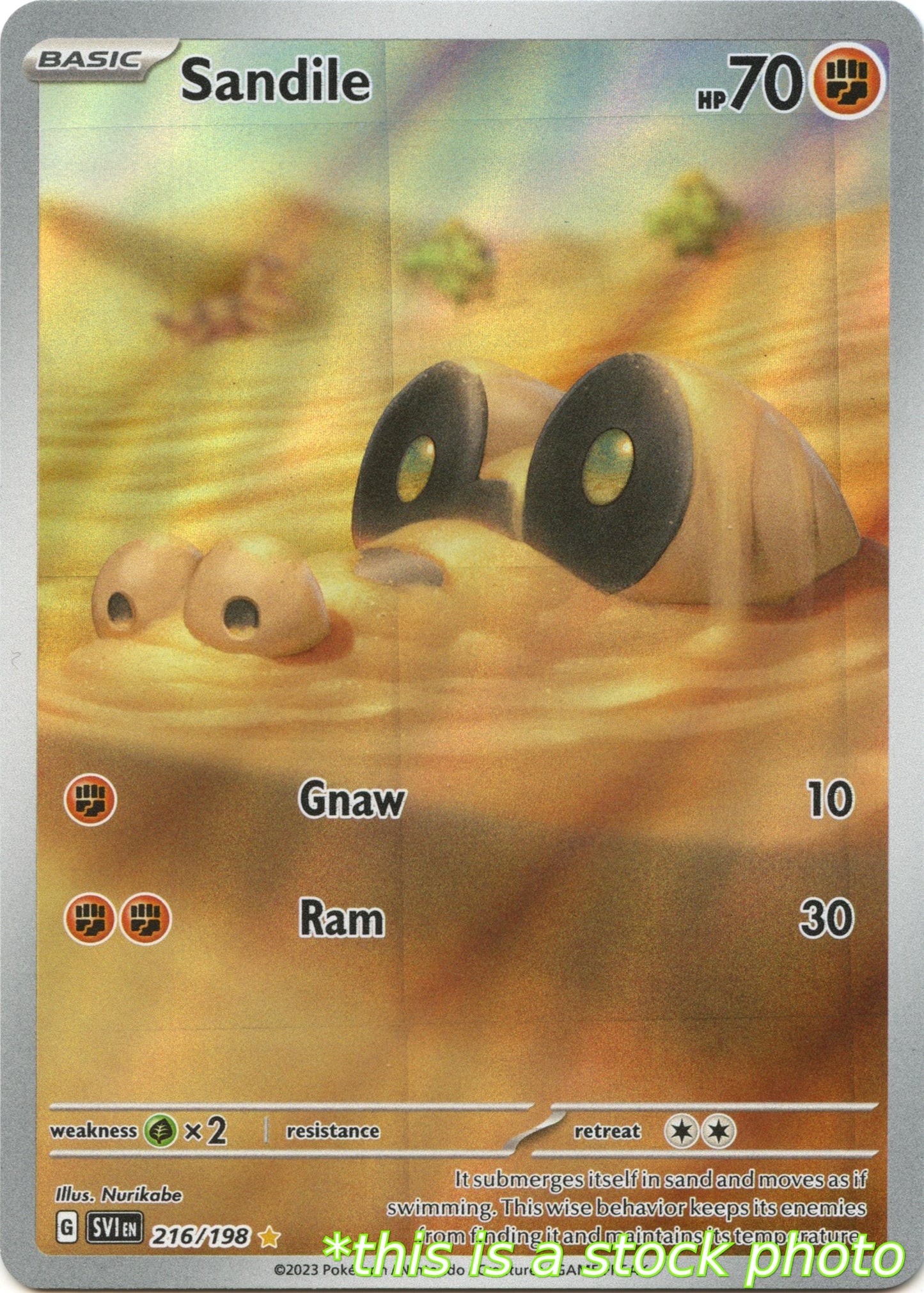 Sandile - 216/198