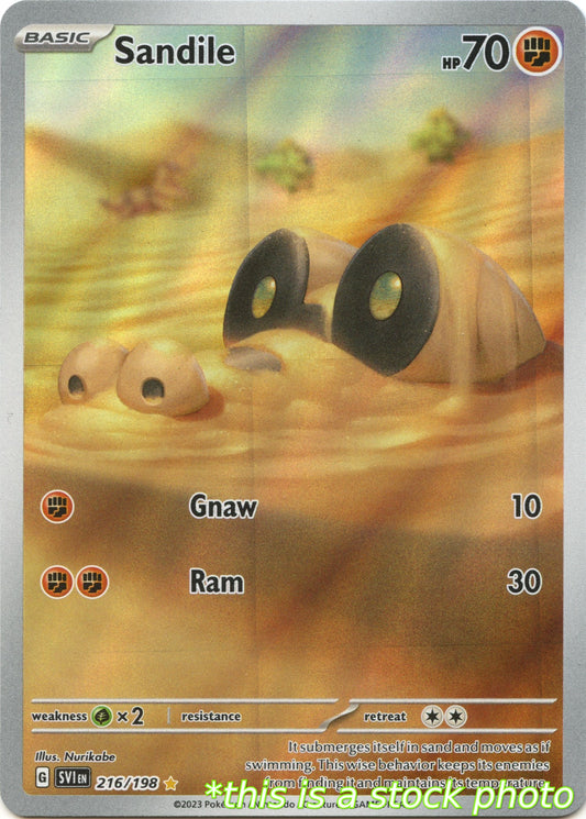 Sandile - 216/198