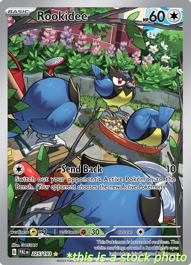 Rookidee - 225/193