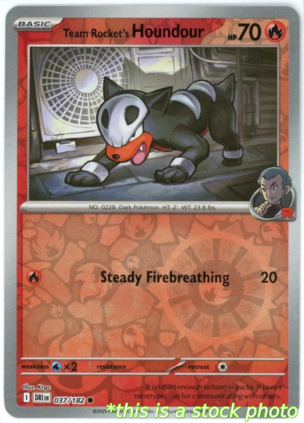 Team Rocket's Houndour