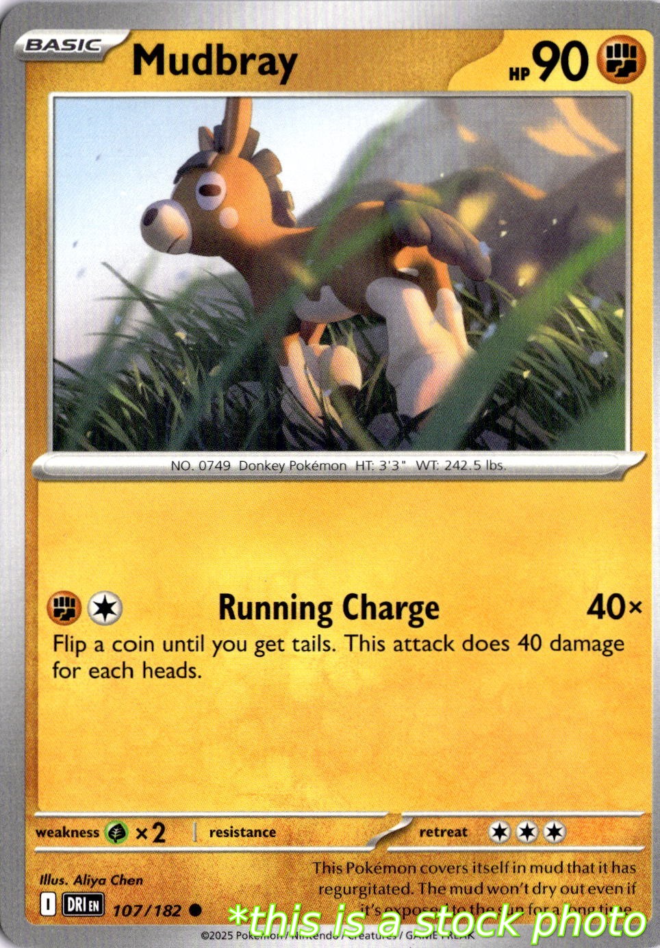 Mudbray