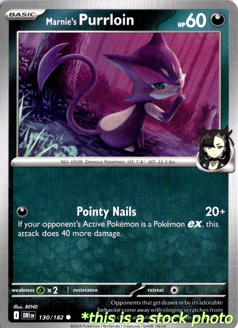 Marnie's Purrloin