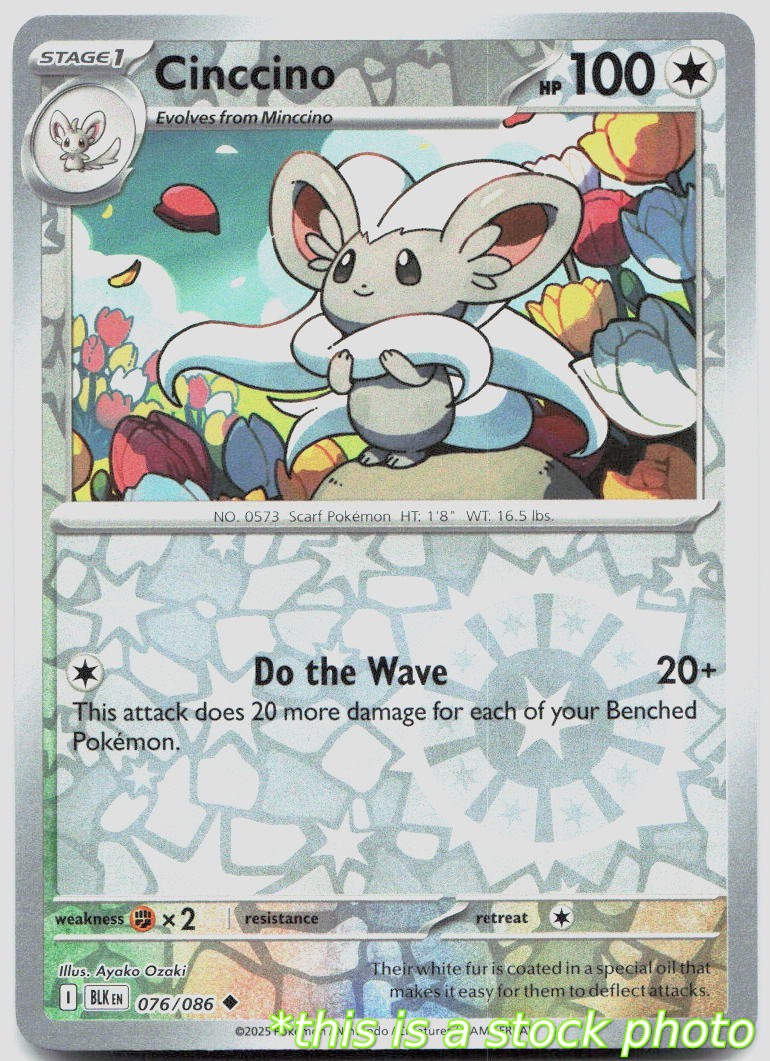 Cinccino