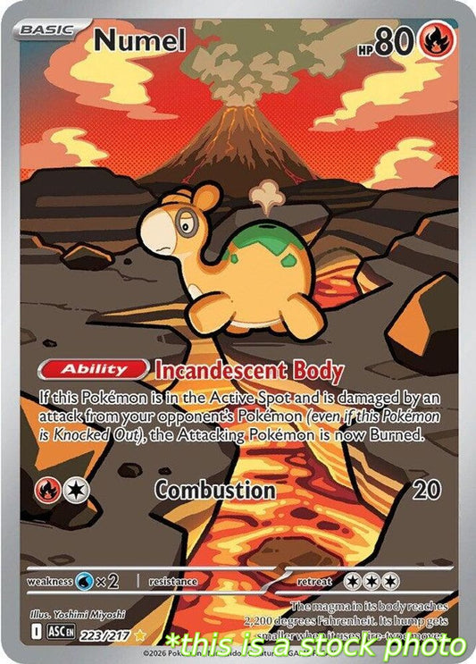 Numel - 223/217