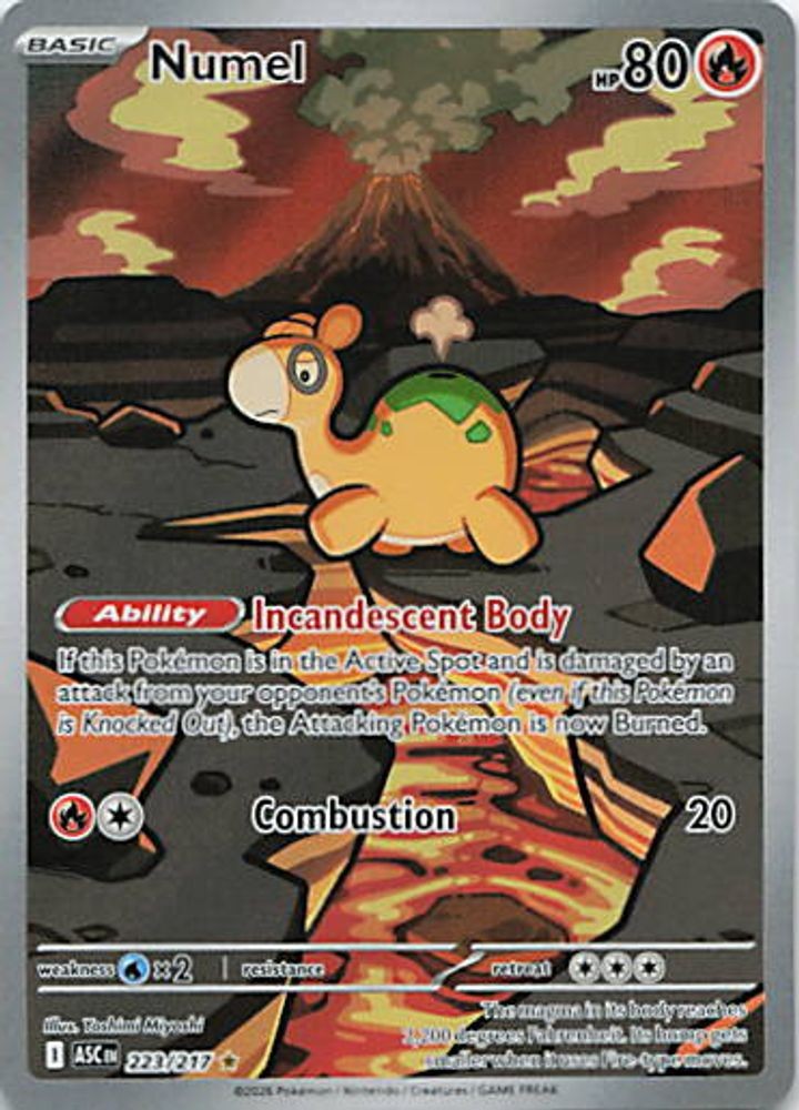 Numel - 223/217
