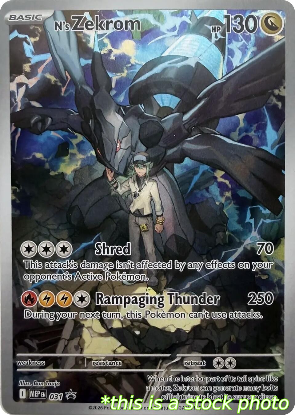 N's Zekrom - 031