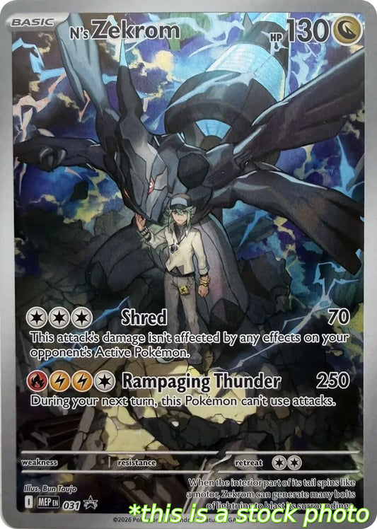 N's Zekrom - 031