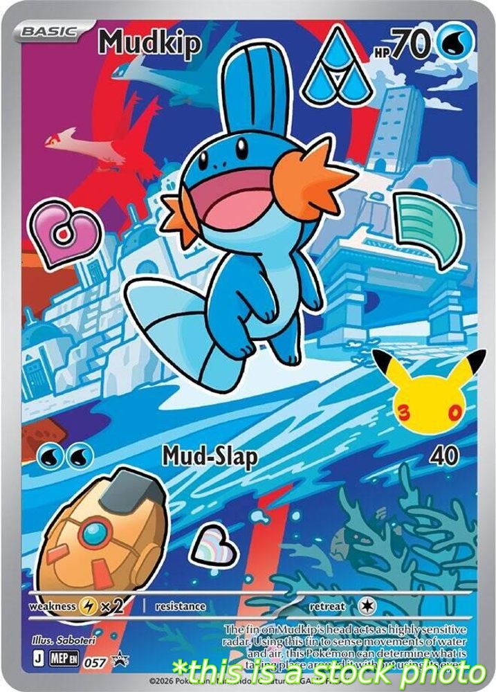 Mudkip -  057