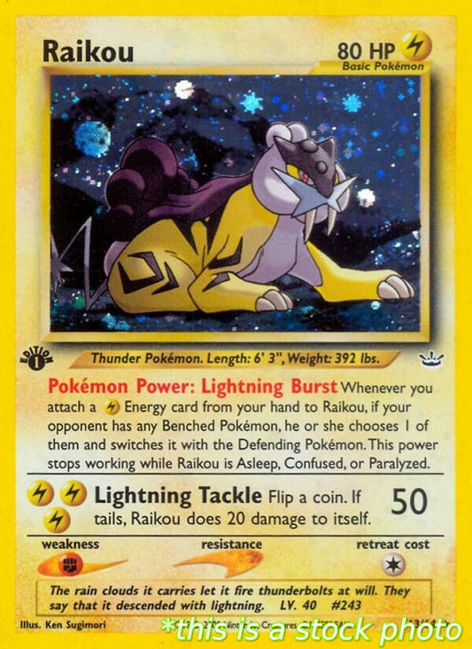 Raikou (13)