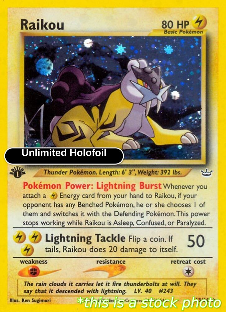 Raikou (13)