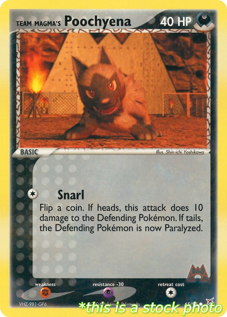 Team Magma's Poochyena - 65/95