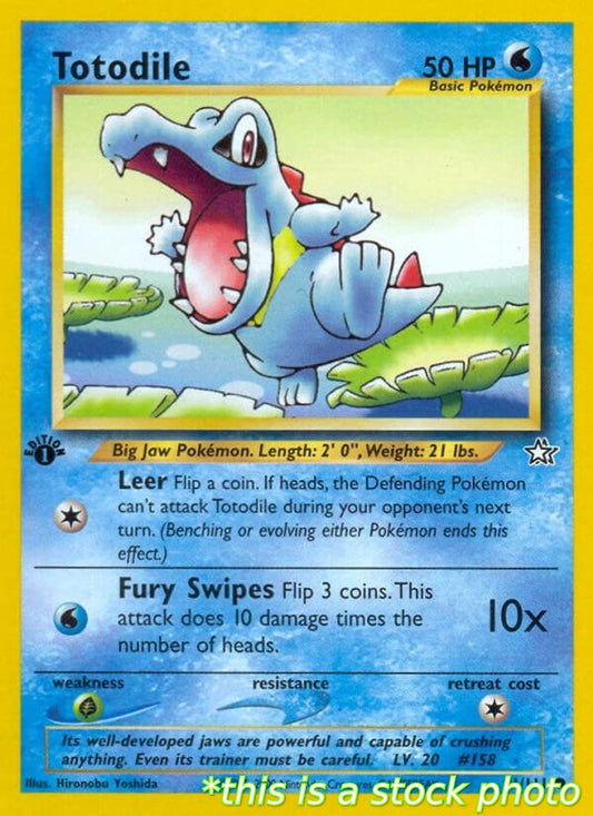 Totodile (81)