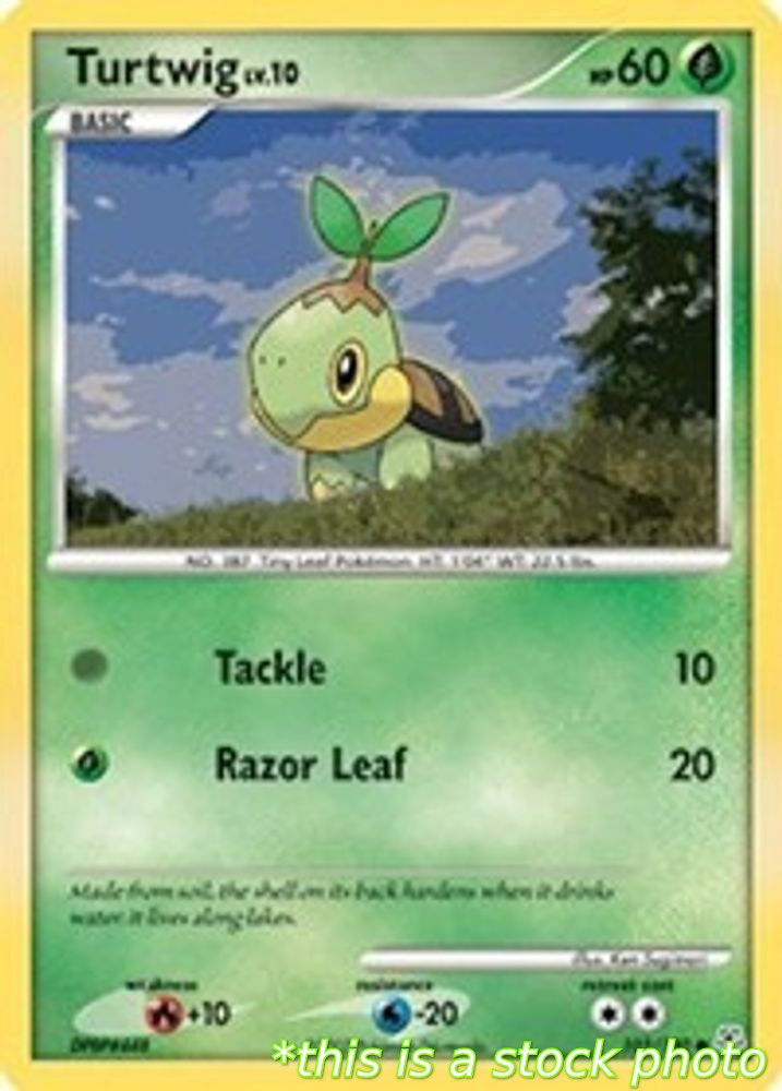 Turtwig