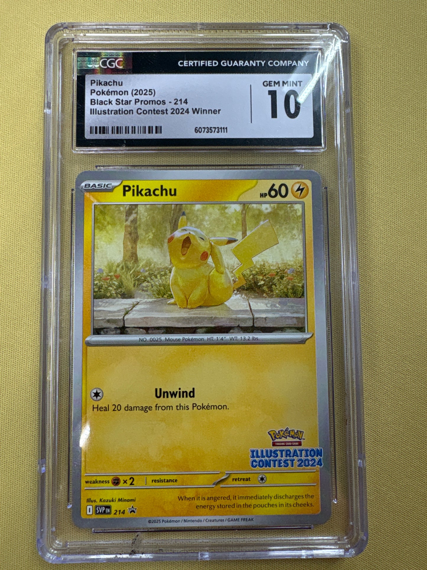 ✨✨CGC 10 GEM MINT Pokemon Pikachu Promo Illustration Contest 2024 Promo 214
