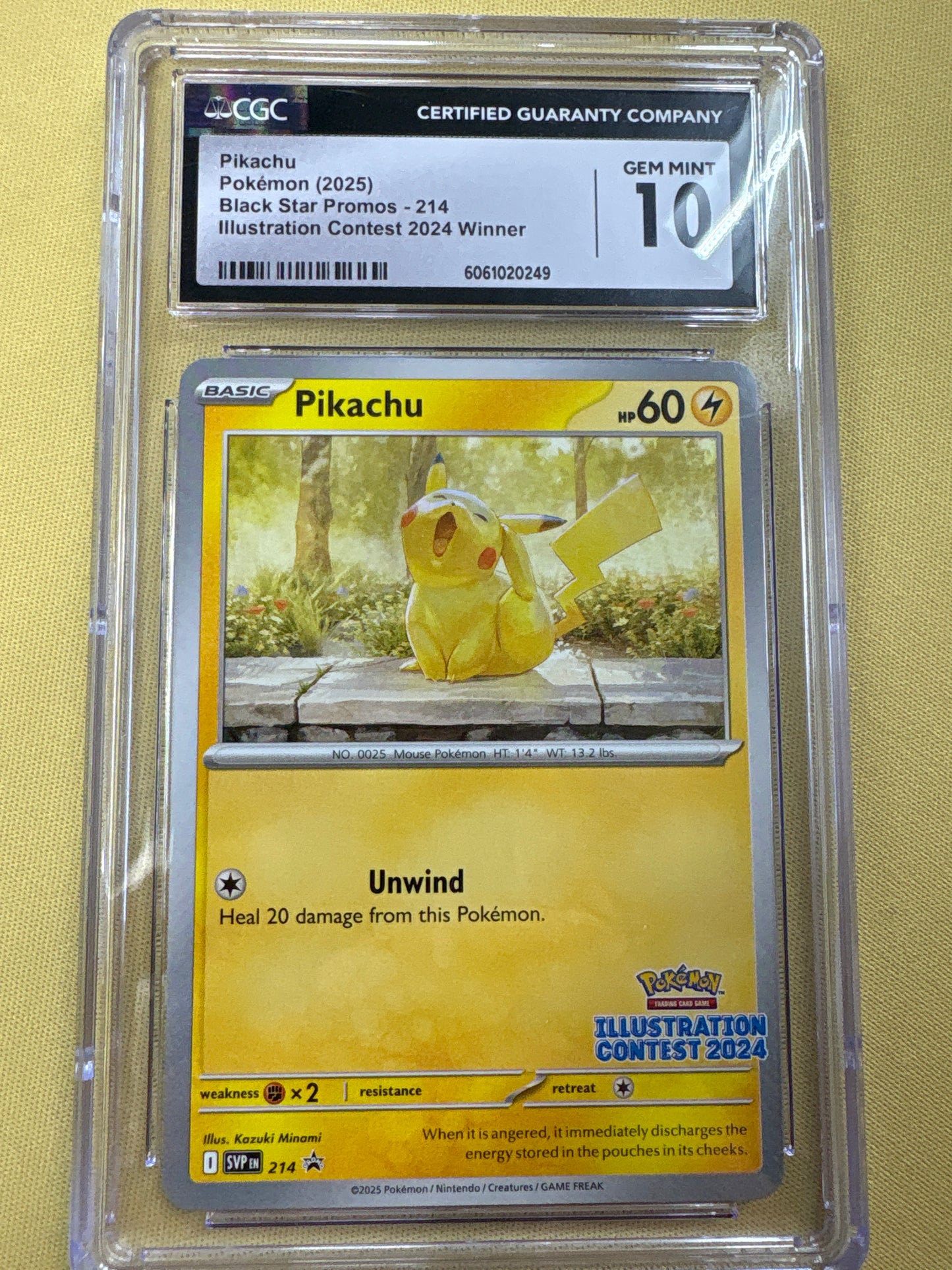 ✨✨CGC 10 GEM MINT Pokemon Pikachu Promo Illustration Contest 2024 Promo 214