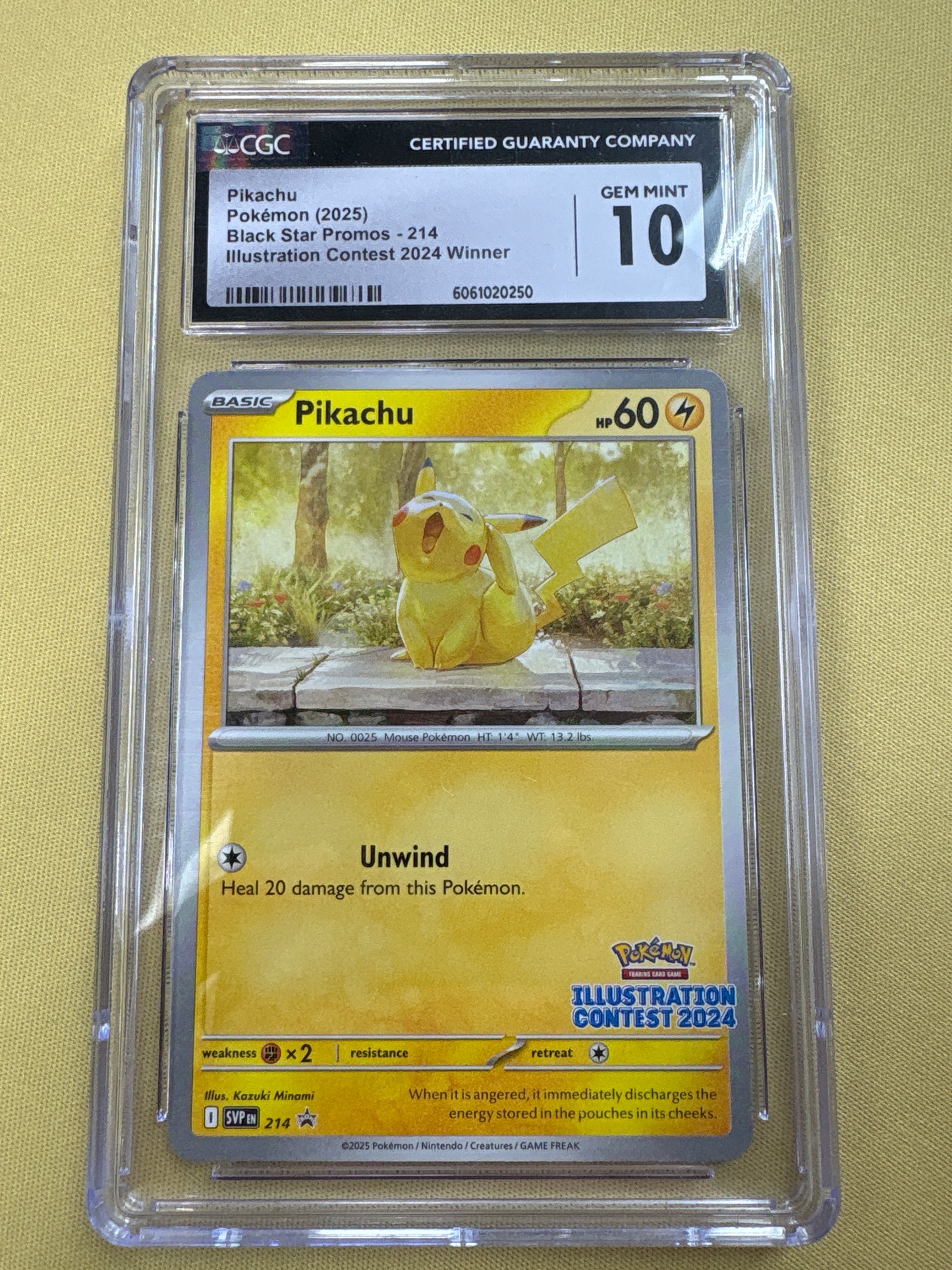 ✨✨CGC 10 GEM MINT Pokemon Pikachu Promo Illustration Contest 2024 Promo 214