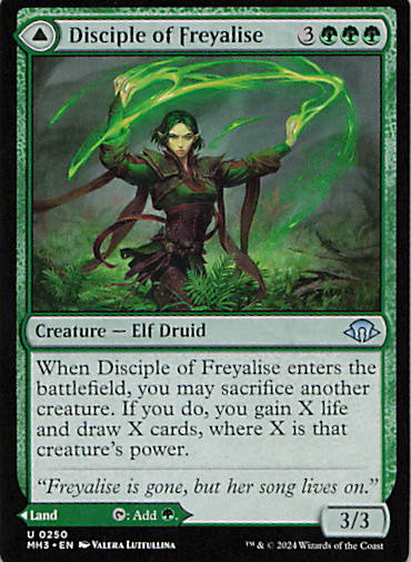 Disciple of Freyalise