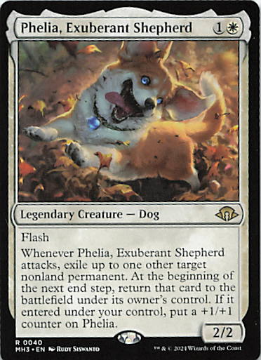 Phelia, Exuberant Shepherd