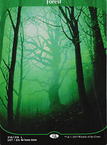 Forest
