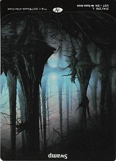Swamp