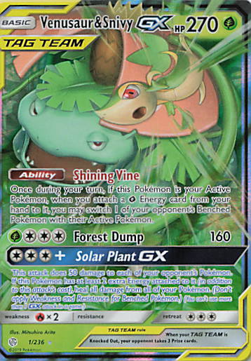 SortSwift stock scan | Near Mint / English / Holofoil