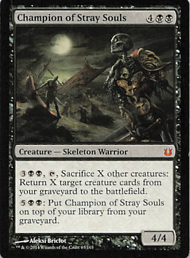 Champion of Stray Souls