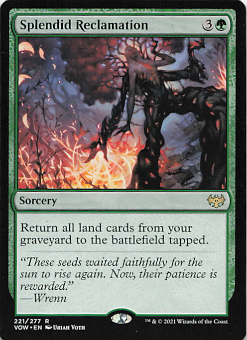Splendid Reclamation | Near Mint / English / Normal